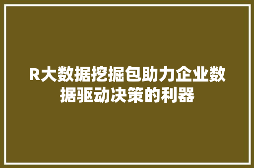R大数据挖掘包助力企业数据驱动决策的利器