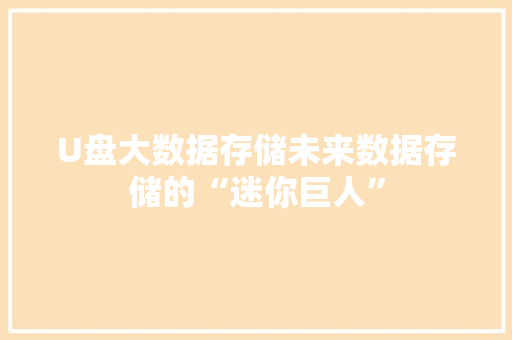 U盘大数据存储未来数据存储的“迷你巨人”