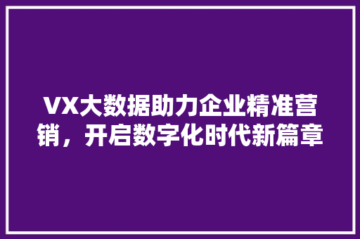 VX大数据助力企业精准营销，开启数字化时代新篇章