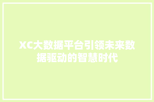 XC大数据平台引领未来数据驱动的智慧时代