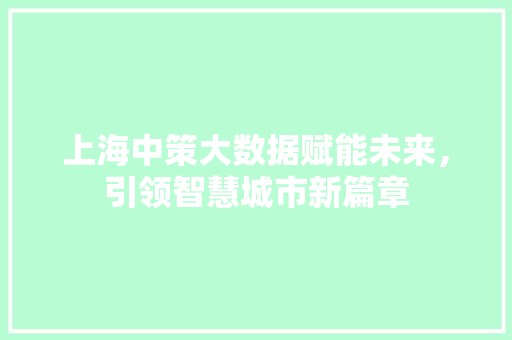 上海中策大数据赋能未来，引领智慧城市新篇章 电脑配置