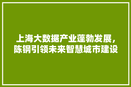 上海大数据产业蓬勃发展，陈钢引领未来智慧城市建设