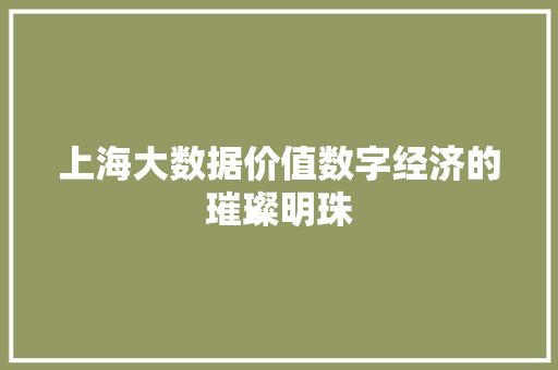 上海大数据价值数字经济的璀璨明珠
