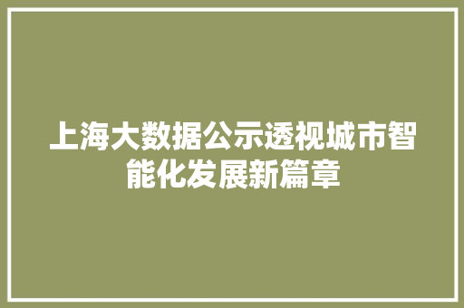 上海大数据公示透视城市智能化发展新篇章