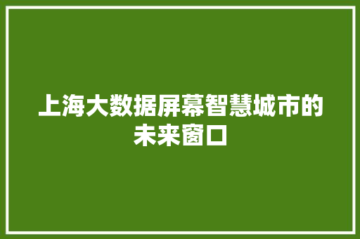 上海大数据屏幕智慧城市的未来窗口