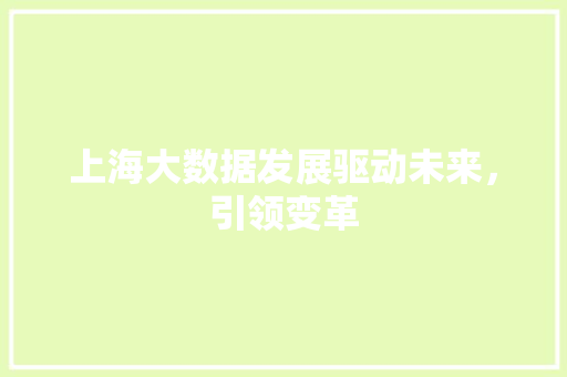 上海大数据发展驱动未来，引领变革 电脑配置