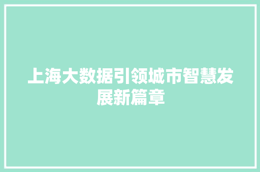 上海大数据引领城市智慧发展新篇章