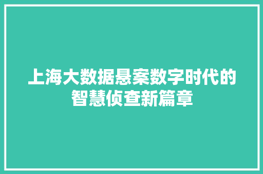 上海大数据悬案数字时代的智慧侦查新篇章 编程语言
