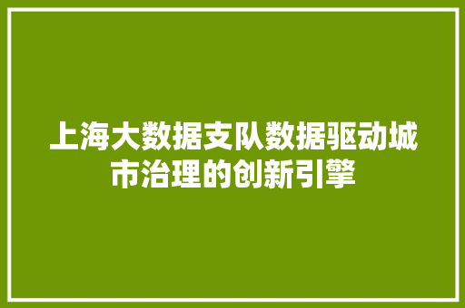上海大数据支队数据驱动城市治理的创新引擎 编程语言