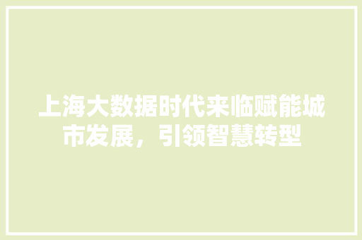 上海大数据时代来临赋能城市发展，引领智慧转型