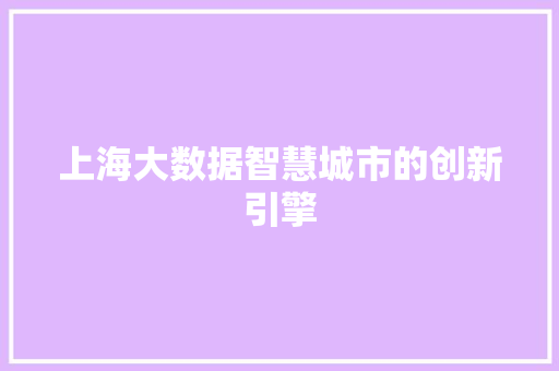 上海大数据智慧城市的创新引擎
