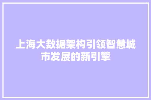 上海大数据架构引领智慧城市发展的新引擎