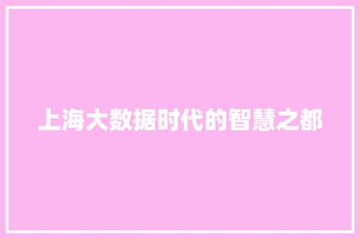 上海大数据时代的智慧之都