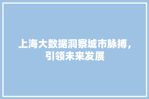 上海大数据洞察城市脉搏，引领未来发展