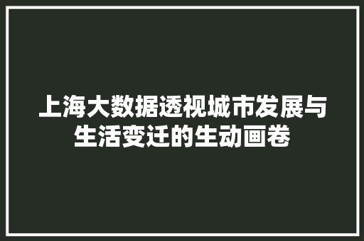 上海大数据透视城市发展与生活变迁的生动画卷