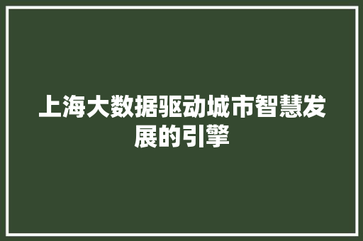 上海大数据驱动城市智慧发展的引擎
