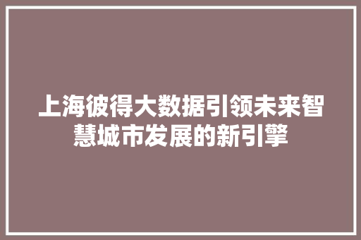 上海彼得大数据引领未来智慧城市发展的新引擎