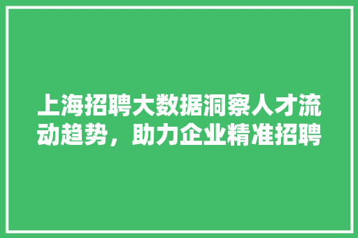 上海招聘大数据洞察人才流动趋势，助力企业精准招聘
