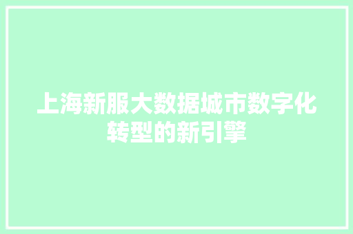 上海新服大数据城市数字化转型的新引擎