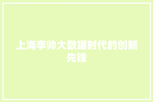 上海李帅大数据时代的创新先锋