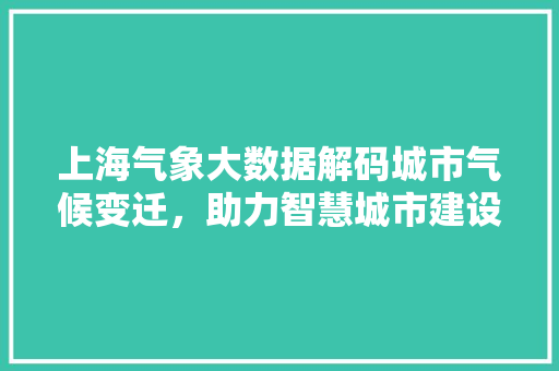 上海气象大数据解码城市气候变迁，助力智慧城市建设