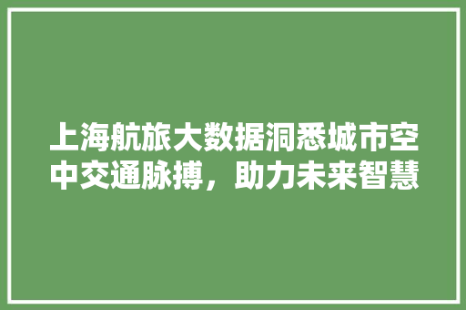 上海航旅大数据洞悉城市空中交通脉搏，助力未来智慧出行