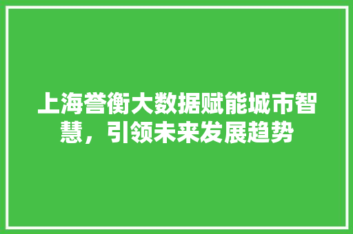 上海誉衡大数据赋能城市智慧，引领未来发展趋势