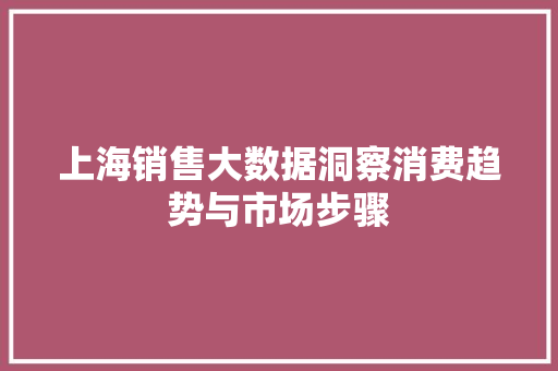 上海销售大数据洞察消费趋势与市场步骤