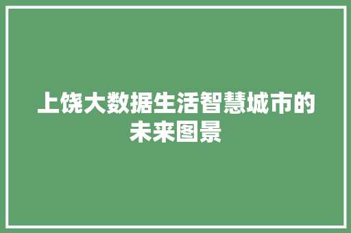 上饶大数据生活智慧城市的未来图景