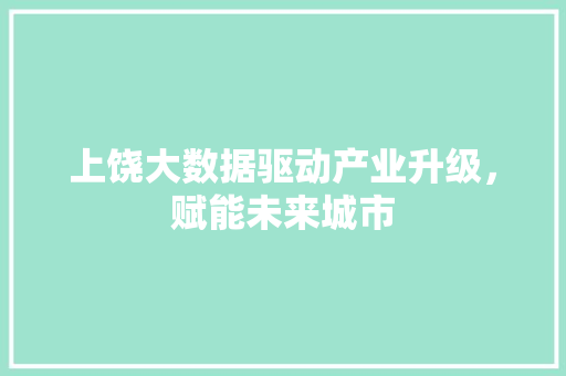 上饶大数据驱动产业升级，赋能未来城市