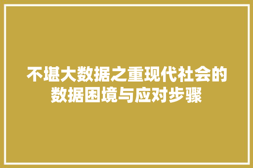 不堪大数据之重现代社会的数据困境与应对步骤