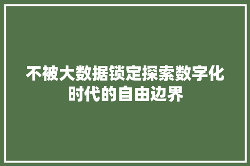 不被大数据锁定探索数字化时代的自由边界