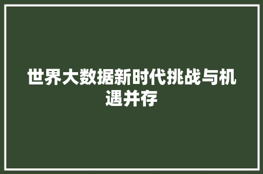 世界大数据新时代挑战与机遇并存