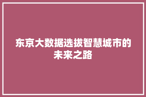 东京大数据选拔智慧城市的未来之路