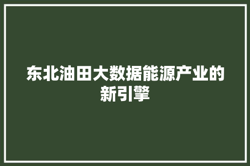 东北油田大数据能源产业的新引擎 东北油田大数据能源产业的新引擎