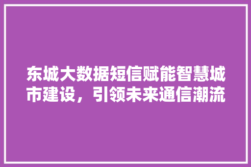 东城大数据短信赋能智慧城市建设,引领未来通信潮流 东城大数据短信赋能智慧城市建设,引领未来通信潮流