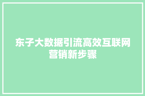 东子大数据引流高效互联网营销新步骤 东子大数据引流高效互联网营销新步骤