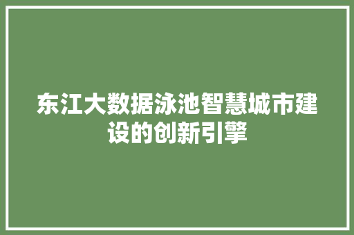 东江大数据泳池智慧城市建设的创新引擎