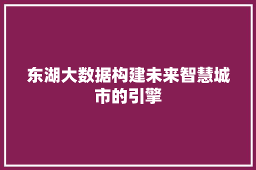 东湖大数据构建未来智慧城市的引擎