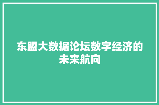 东盟大数据论坛数字经济的未来航向