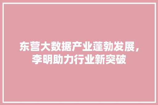 东营大数据产业蓬勃发展，李明助力行业新突破