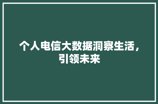 个人电信大数据洞察生活，引领未来