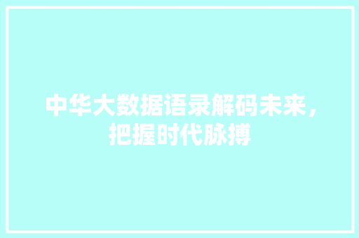 中华大数据语录解码未来，把握时代脉搏