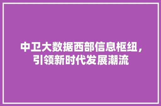 中卫大数据西部信息枢纽，引领新时代发展潮流