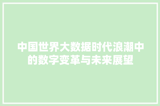 中国世界大数据时代浪潮中的数字变革与未来展望
