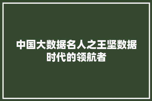 中国大数据名人之王坚数据时代的领航者