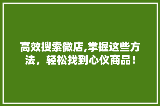 高效搜索微店,掌握这些方法，轻松找到心仪商品！