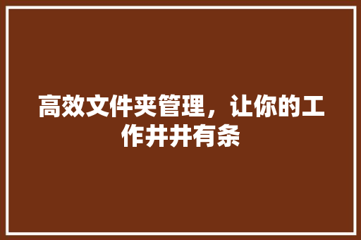 高效文件夹管理，让你的工作井井有条