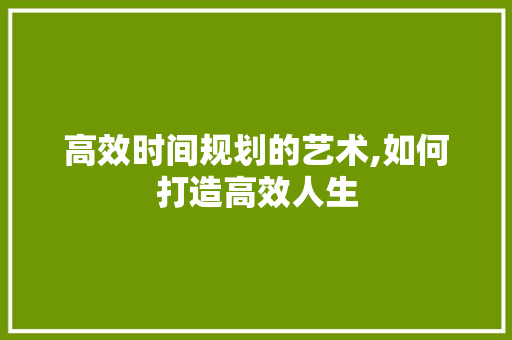 高效时间规划的艺术,如何打造高效人生 电脑配置