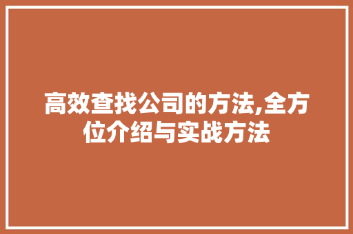 高效查找公司的方法,全方位介绍与实战方法